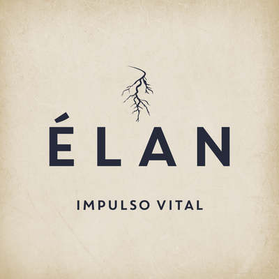 ÉLAN WINES