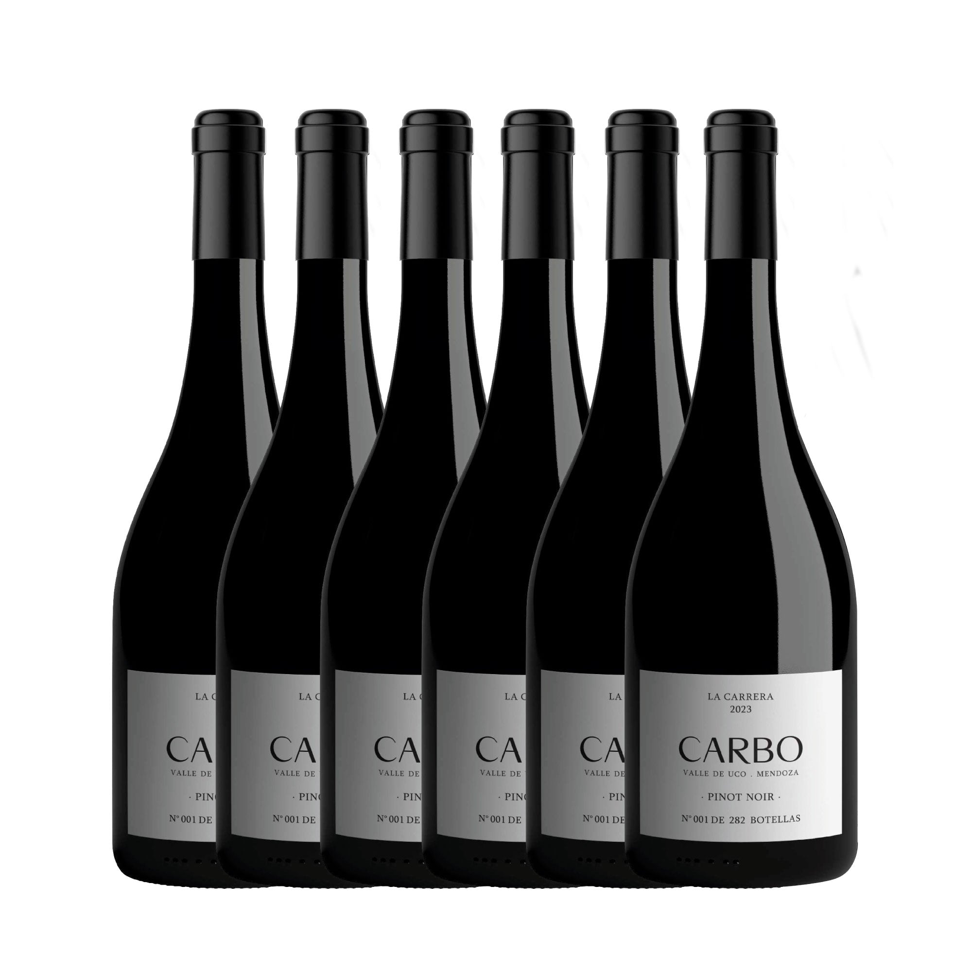 CARBO | Pinot Noir