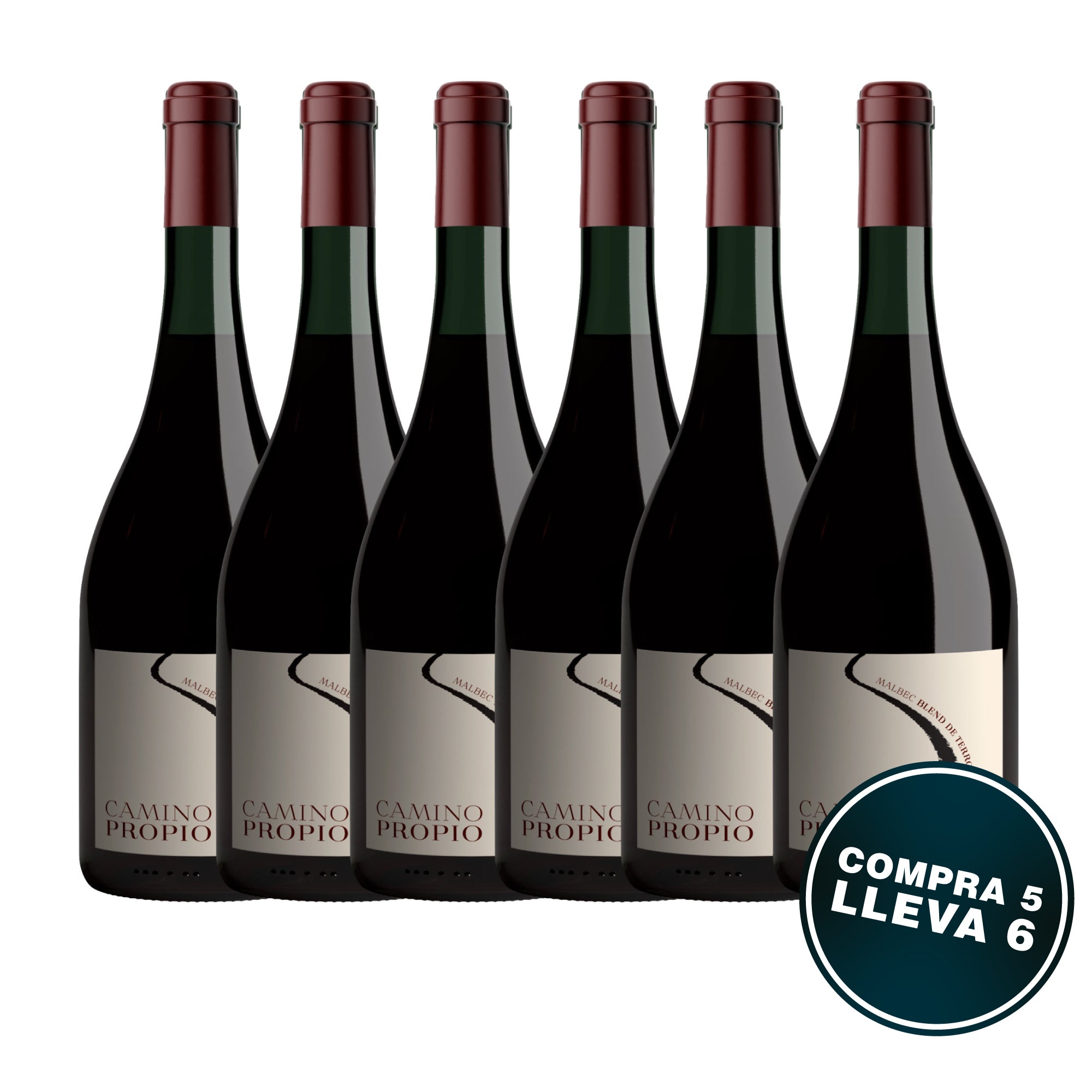 CAMINO PROPIO | Malbec Blend de Terroirs