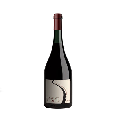 CAMINO PROPIO | Malbec Blend de Terroirs