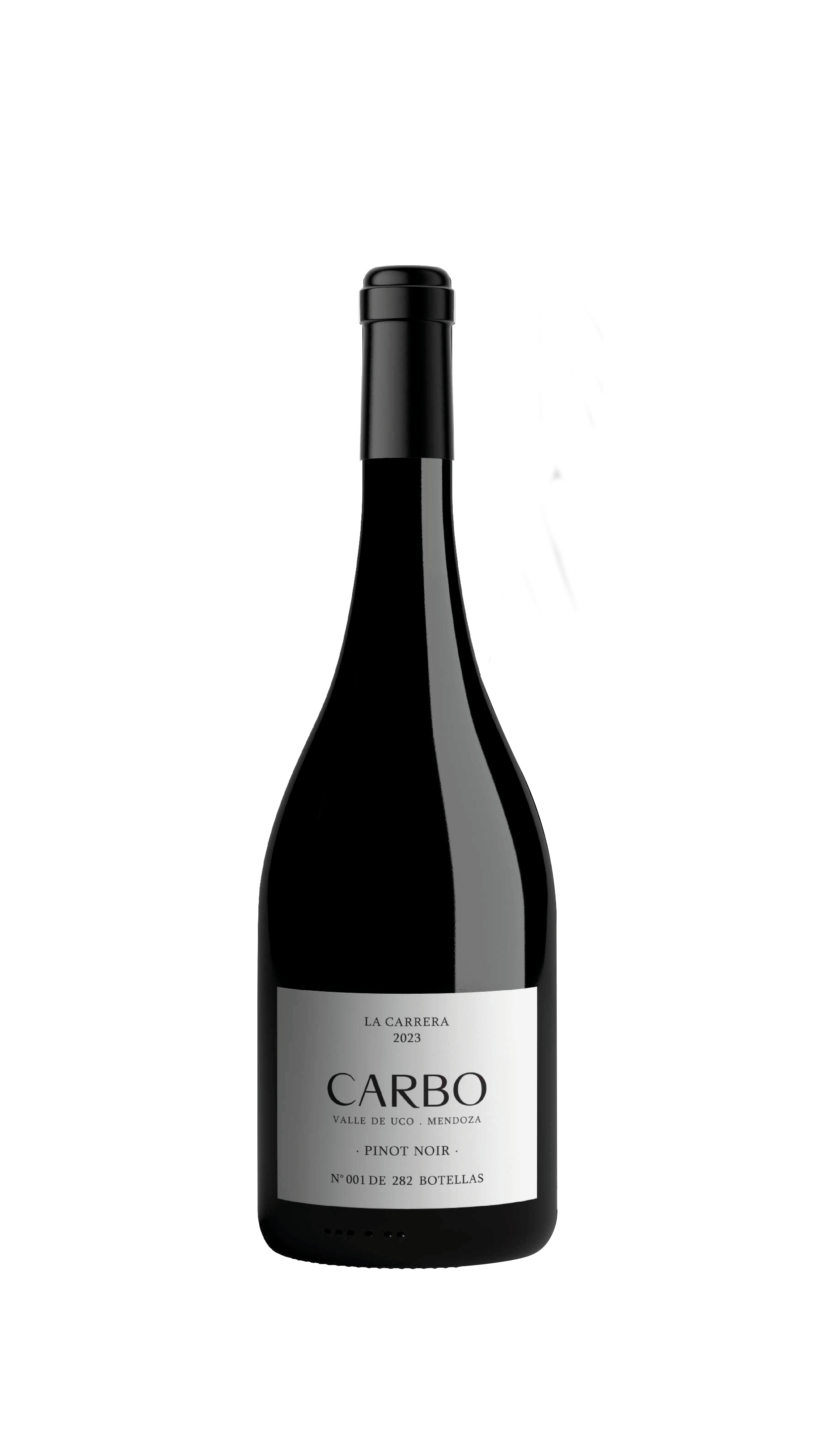 CARBO | Pinot Noir
