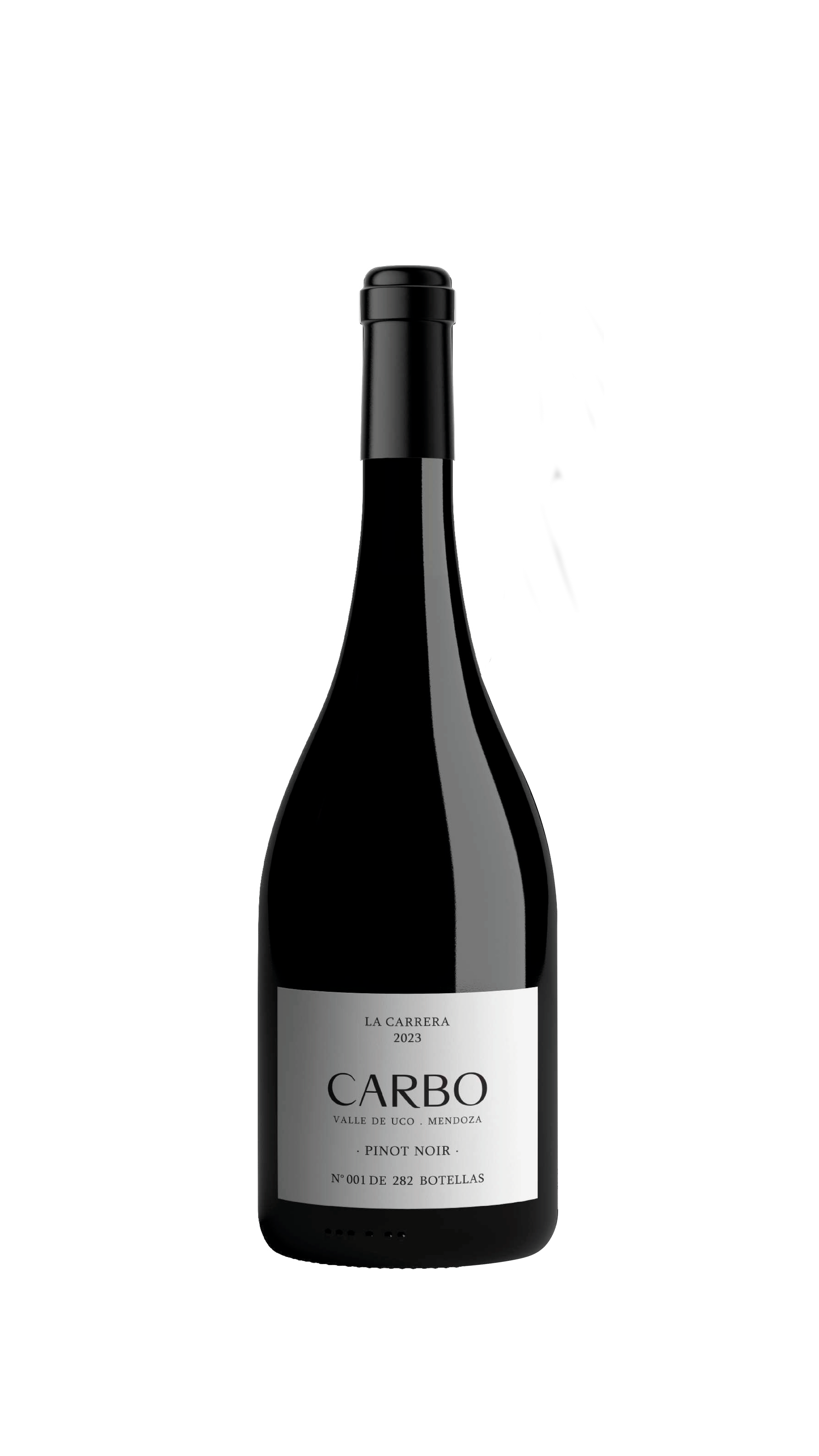 CARBO | Pinot Noir