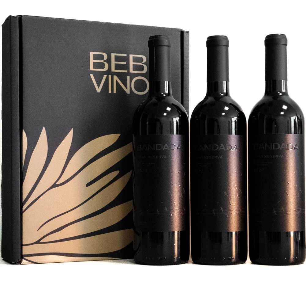 BEBE | BANDADA Icon Blend
